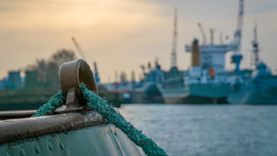 photo of harbor
