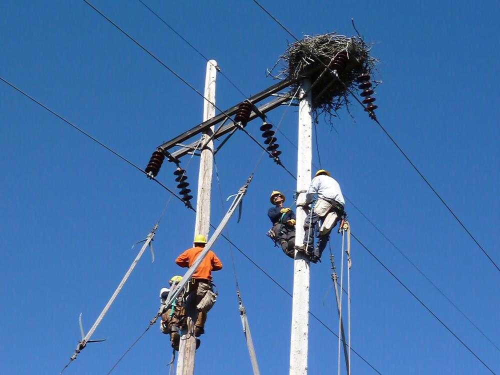 UPPCO