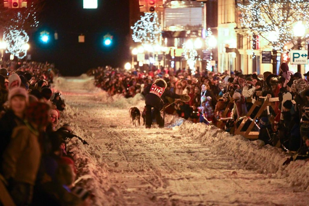 sled dog race